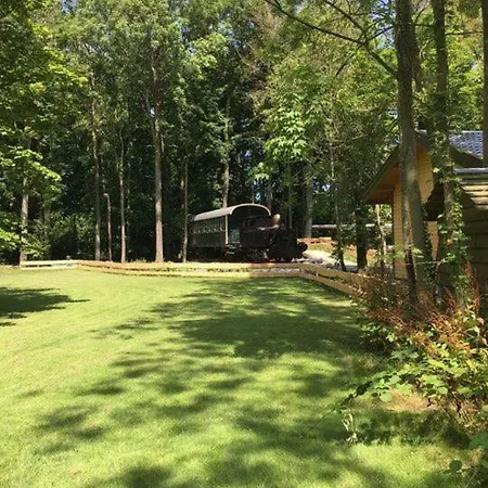 Hollands Oostenrijks ウィーリンガーウェルフ